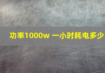 功率1000w 一小时耗电多少